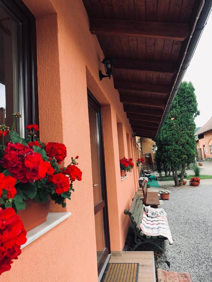 Hotel Evelyn Panzio Corund  Exterior foto